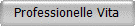 Professionelle Vita